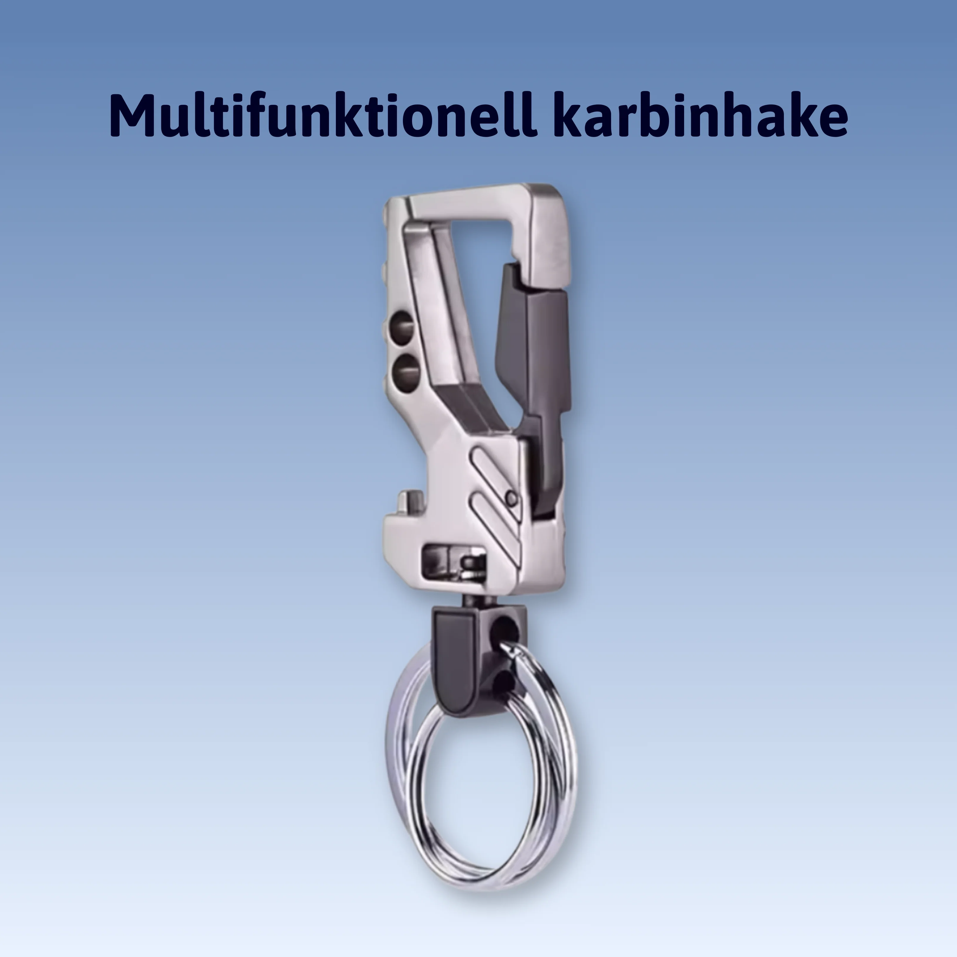 Miniatyrbild 1
